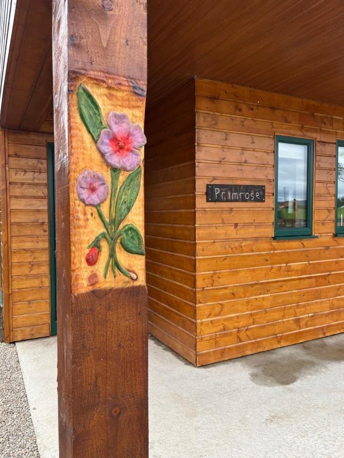 Oakwell Holiday Village Ramelton المظهر الخارجي الصورة
